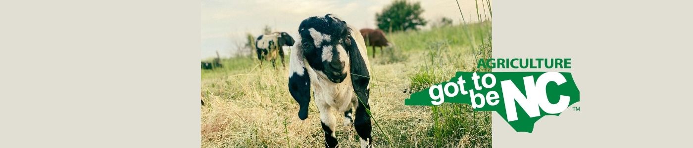 goat and got to be nc logo