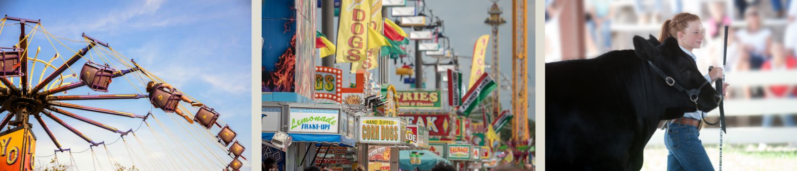 fair rides, agriculture and food