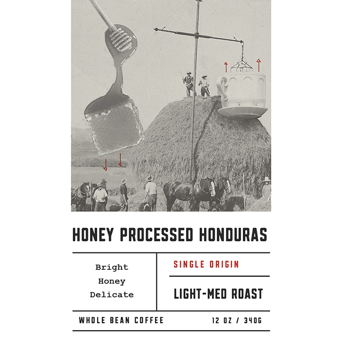 Organic Honey Processed Honduras