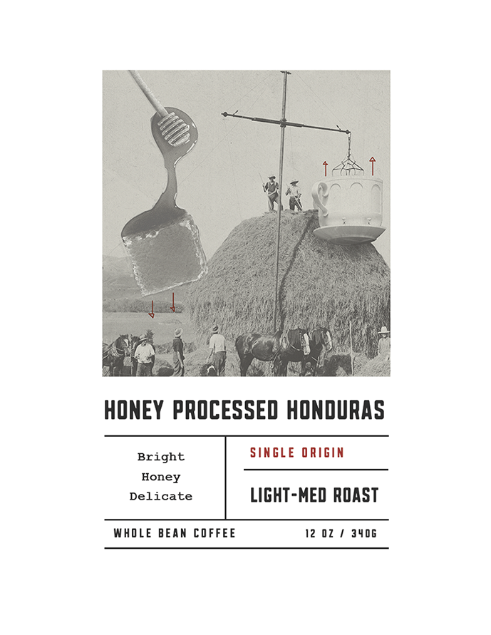 Organic Honey Processed Honduras