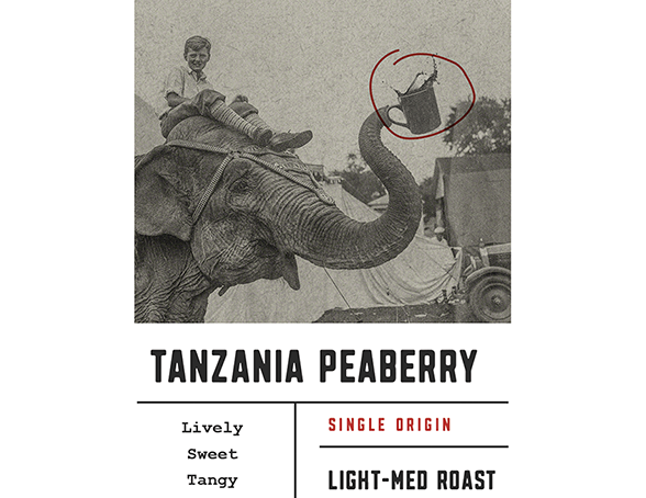 Tanzania Peaberry
