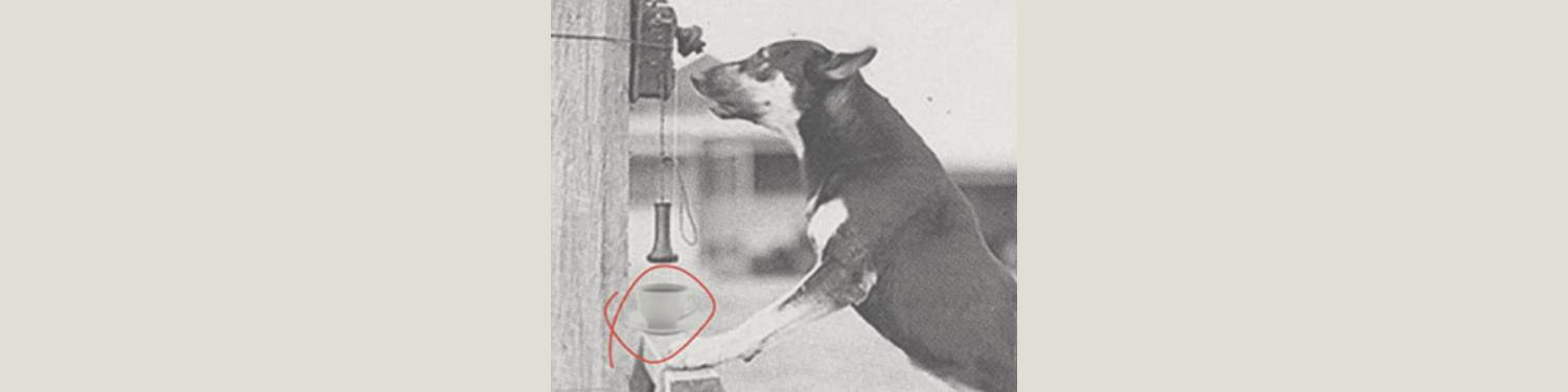 dog answering phone